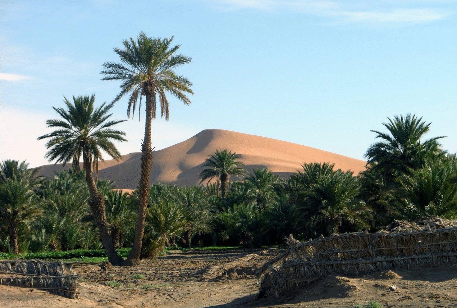 Hotel Riad Oasis Merzouga Exterior photo